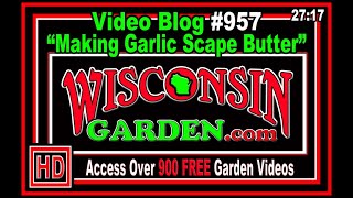 Making Garlic Scape Butter  Wisconsin Garden Video Blog 957 [upl. by Sibie328]