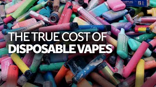 The true cost of disposable vapes  On the Ground [upl. by Anertal]