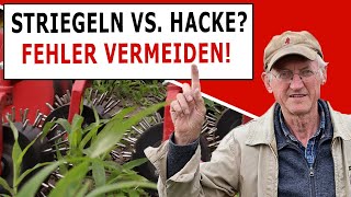 Striegel gegen Unkraut  oder doch lieber Hacke Meine Tipps [upl. by Enaid757]