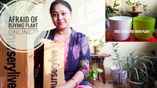 Nurserylivecom Plant Unboxing First Experience Genuine Review Live indoor Plant Online [upl. by Brenton]