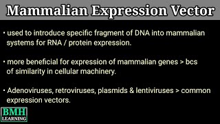 Mammalian Expression Vector  Mammalian Expression System [upl. by Eerol880]