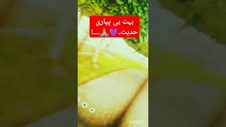 Maulana Tariq Jameel ka bahut pyara bayan videotrending ا طارق جمیل کا ♥️♥️♥️🙏۔۔ [upl. by Attena113]