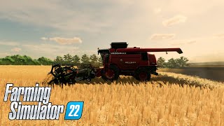 PONEMOS A PRUEBA LA VASSALLI AX 7510 Farming simulator 22 [upl. by Hayward]