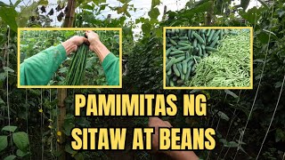 PAMIMITAS NG STIAW AT BEANS [upl. by Aisela]