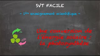 SVT FACILE  1ère ens sci  Une conversion de lénergie solaire  la photosynthèse [upl. by Uball]