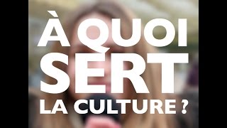 A quoi sert la culture   Emmanuel Macron [upl. by Hannahs92]