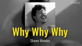 THAISUB  แปลไทย why why why  Shawn Mendes [upl. by Hulbig]