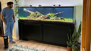 XXL NATURE AQUARIUM BUILD  FULL STEP BY STEP [upl. by Atalanta]