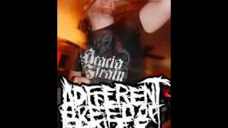 BEST BRUTAL DEATHCORE BREAKDOWNS PART 3 [upl. by Hsima]