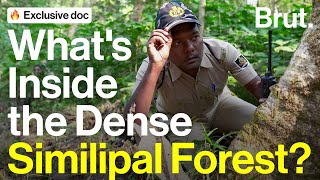 Brut Goes Patrolling With Forest Guards  Brut Documentary [upl. by Acirred614]