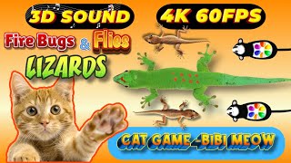 CAT GAMES TOM TV amp BiBi  Ultimate Compilation Catching The LIZARDS  Flies FireBugs🦎11 HOUR🦎Vol 63 [upl. by Conni]