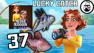 NEW Fishing Event  Lucky Catch 🏡 Merge Mansion  Gameplay Walkthrough Part 37 [upl. by Aihtak]