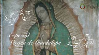 Especial Virgen de Guadalupe Códice de Nuestra Señora de Guadalupe [upl. by Iclek620]