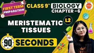 Meristematic Tissues One Shot in 90 Seconds  Tissues  NCERT Class 9 Biology Chapter6 CBSE2024 [upl. by Ahsenet]