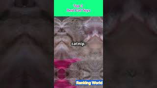 Top 3 best cat toys rankingworld catlovers [upl. by Tiloine66]