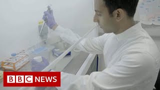 Science rejuvenates womans skin cells to 30 years younger  BBC News [upl. by Eirrehc]