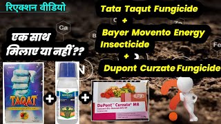 Tata Taqut Fungicide  Bayer Movento Energy insecticide  Dupont Curzate Experiment Video [upl. by Baese12]