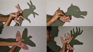 Hand Shadow Puppet Tutorial  Handicraft [upl. by Isidoro413]