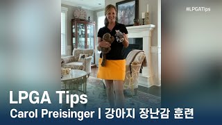 LPGA Tips  Carol Preisinger  강아지 장난감 훈련 lpga lpgatips 골프 골프연습 골프스윙 golfswing [upl. by Nalac]