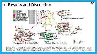 LCMS rhizosphere and leaf metabolites characterization of PGPRtreated wheat seedlings [upl. by Danelle]