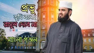 প্রভু তুমি বলেছ রাসুল দেবে না  Provu tumi bolecho rasul dibena  Mizanur Rahman Azhari Bangla Gojol [upl. by Eineg]