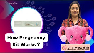 How Pregnancy Kit Works  Are they accurate  Learn all about pregnancy kits [upl. by Mandell]