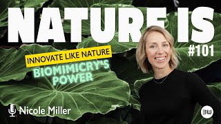 Biomimicry An Operating Manual for Earthlings  Nature IS  Ep 101 with Nicole Miller [upl. by Jamila]