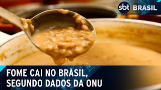 Número de brasileiros com fome cai para 84 milhões diz ONU  SBT Brasil 240724 [upl. by Kirt118]