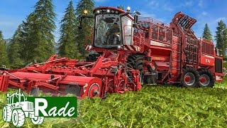 LS17 GEMEINDE RADE 37 Kartoffeln und Rüben in Rade  LANDWIRTSCHAFTSSIMULATOR 2017 [upl. by Zicarelli795]