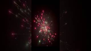 Goonies Never Say Die 16 Shot Short fireworks 4thofjuly [upl. by Goober]