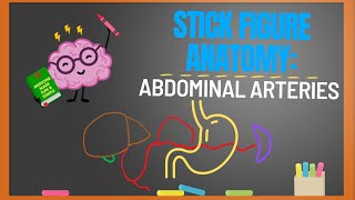 Stick Figure Anatomy Abdominal Arteries [upl. by Tsepmet]