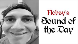 Flebsy sound of the day [upl. by Ahsenhoj]