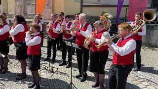 Musikverein Eferding  Landesmusikfest [upl. by Faxan]