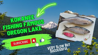 Kokanee Fishing Famous Oregon Lake  VERY SLOW But Still SUCCESSFUL pnwfishing kokaneefishing [upl. by Ahsitram]