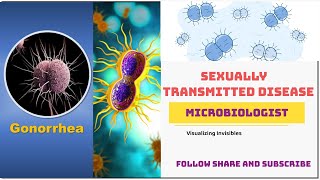 Sexually Transmitted Diseases STDs  Reproductive Health syphilis chlamydia gonorrhoeae herpes [upl. by Calia]