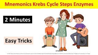 How to Remember Krebs Cycle Easily in 2 Minutes  TCA cycle Mnemonics amp Tricks  BiologyLectures [upl. by Amron]