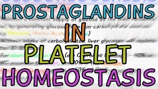 How are Prostaglandins involved in Platelet Homeostasis [upl. by Lj]