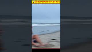 😱 লোকটা হাত দিয়ে পাখি ধরার পর তার সাথে এটা কী করল  Catching Seagull Bird With Hand Bangla [upl. by Arevle]