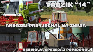 NERWOWA sprzedaż pomidorów amp ostatnie żniwa😱 Tadzik  Gospodarz z Miasta quot14quot 😱 FS22 [upl. by Nannette517]