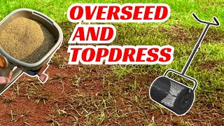 How to Overseed Topdress amp Fill Bare Spots 2024  Zoysia Grass [upl. by Inalaehak]