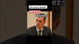 ¿Por qué le llamáis PERRO Sánchez [upl. by Ennirroc]