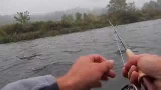 FALL FLY FISHING THE CATSKILLSBIG BROWNS [upl. by Jocelyne248]