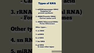 dailyshorts biochemistry rna biology medicalstudent pharmacy science proteinsynthesis gene [upl. by Ateikan]