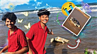 USING PRAWNS TO CATCH BIG FISHES IN SEA Fish huntingfishing Telugubloggertortoise [upl. by Averi]