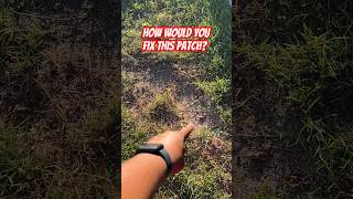 HOW TO FIX GRASS PATCH  Ugly Yard Repair IMWGC [upl. by Eniamahs]