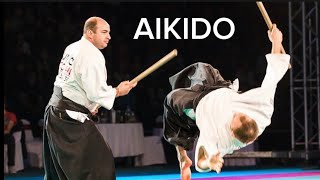 EXPLOSIVE Aikido demonstration  best self defense techniques [upl. by Eniarol]