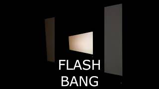 CS2 FLASH bang IRL [upl. by Thayer]