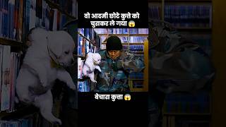 इस प्यारे से कुत्ते के बच्चे को उस आदमी ने चुरा लिया 😱  short anime cartoon dog [upl. by Nnahaid]