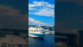 NEWBURYPORT MASS short newburyport travel seaport boat boatrides shortfeed fyp familytime [upl. by Molton279]