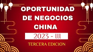 Oportunidad de Negocios China [upl. by Eissirk752]